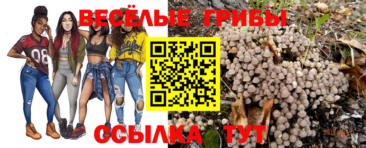 Псилоцибиновые грибы Magic Shrooms Туапсе